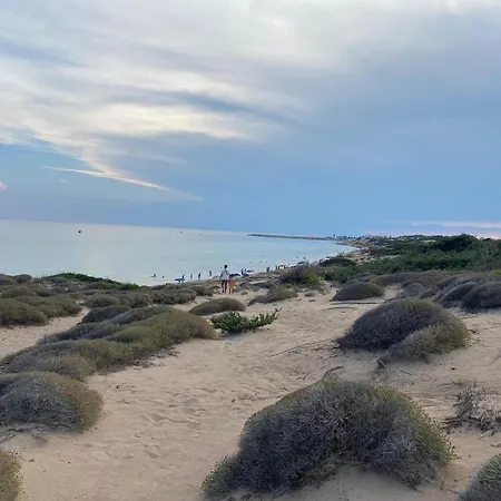 Gemma Mediterranea * Campomarino (Taranto)
