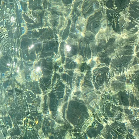 Gemma Mediterranea Daire