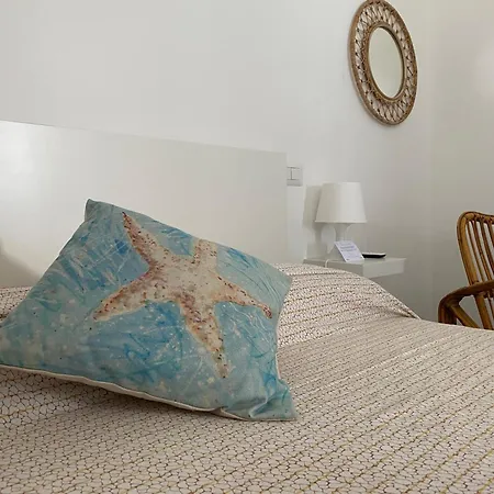 Gemma Mediterranea Daire *